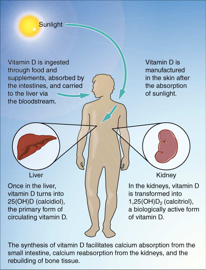 Vitamin D deficiency, picture of the sun and how it interacts with the human body giving health