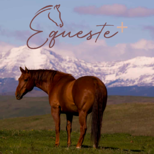Equeste Horse Probiotics Canada