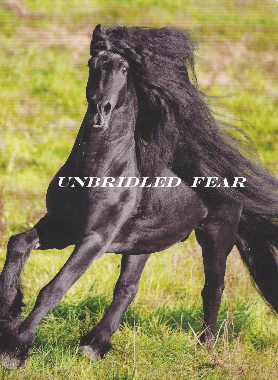 Unbridled Fear- Human and Horse. Picture of a black friesian horse exhibiting great fear fear