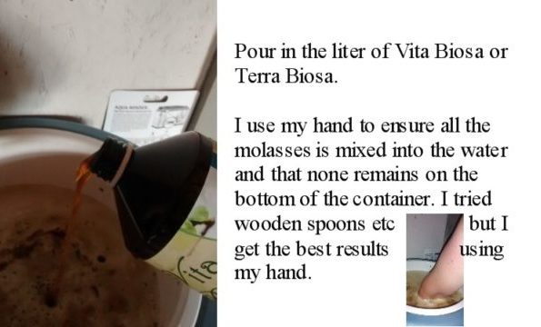 Pour in the liter of Vita Biosa or Terra Biosa. I use my hand to ensure all the molasses is mixed into the water and that none remains on the bottom of the container. I tried wooden spoons etc., but I get the best results using my hand.