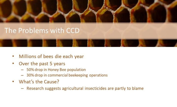 The problems with CCD are: Millions of bees die each year Over the past 5 years 50% drop in Honey Bee population 30% drop in commercial beekeeping operations What’s the Cause? Research suggests agricultural insecticides are partly to blame