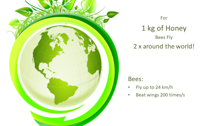 Bees Fly 2 x around the world! For 1 kg of Honey Bees: Fly up to 24 km/h Beat wings 200 times/s