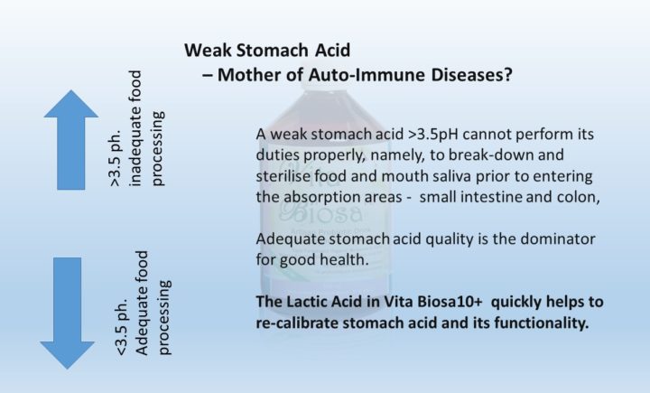 Weak Stomach Acid – Mother of Auto-Immune Diseases?A weak stomach acid >3.5pH cannot perform its duties properly, namely, to break-down and sterilise food and mouth saliva prior to entering the absorption areas - small intestine and colon, Adequate stomach acid quality is the dominator for good health. The Lactic Acid in Vita Biosa10+ quickly helps to re-calibrate stomach acid and its functionality.
