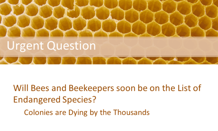 Urgent question: Will Bees and Beekeepers soon be on the List of Endangered Species? Colonies are Dying by the Thousands