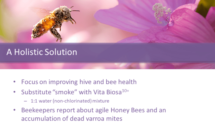 The holistic approach: Focus on improving hive and bee health Substitute “smoke” with Vita Biosa10+ 1:1 water (non-chlorinated) mixture Beekeepers report about agile Honey Bees and an accumulation of dead varroa mites