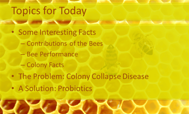 Topics for today: Some Interesting Facts Contributions of the Bees Bee Performance Colony Facts The Problem: Colony Collapse Disease A Solution: Probiotics