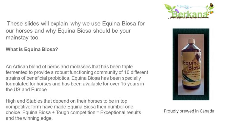 These slides will explain why we use Equina Biosa for our horses and why Equina Biosa should be your mainstay too.What is Equina Biosa?  An Artisan blend of herbs and molasses that has been triple fermented to provide a robust functioning community of 10 different strains of beneficial probiotics. Equina Biosa has been specially formulated for horses and has been available for over 15 years in the US and Europe. High end Stables that depend on their horses to be in top competitive form have made Equina Biosa their number one choice. Equina Biosa + Tough competition = Exceptional results and the winning edge. A picture of a bottle of Equina Biosa