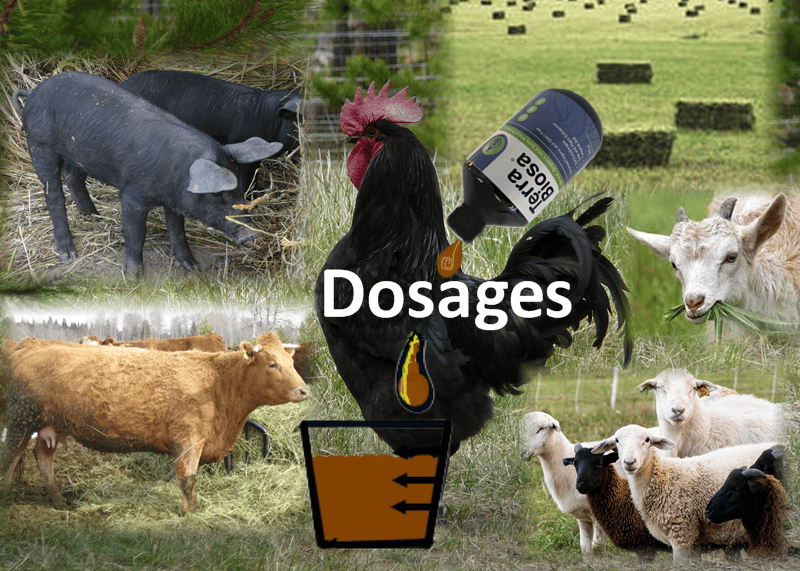 Dosages: a picture depicitng chickens, goaats, sheep, cattle, pigs, crops with a bottle of Terra Biosa being poured into a measure cup