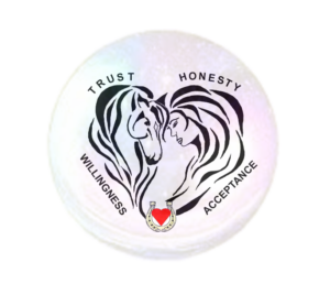 Partner Up workshop Logo depicting a horse and human head touching at the forehead with the words Trust, Honesty, Acceptance and Willingness inside a magical crystal ball