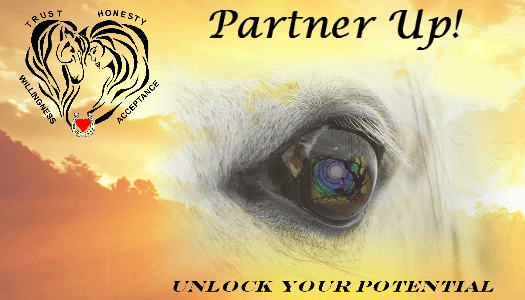 Partner Up Workshop - Unlock Your Potential Picture showing a horses eye faded into the horizon